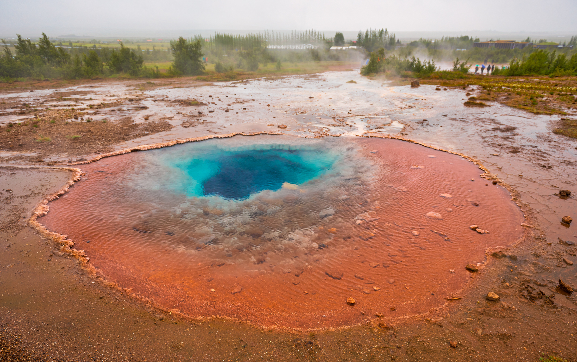 Geothermal and Oil